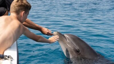 Ein Junge und ein Mann berühren den Schnabel eines Delfins im Meer