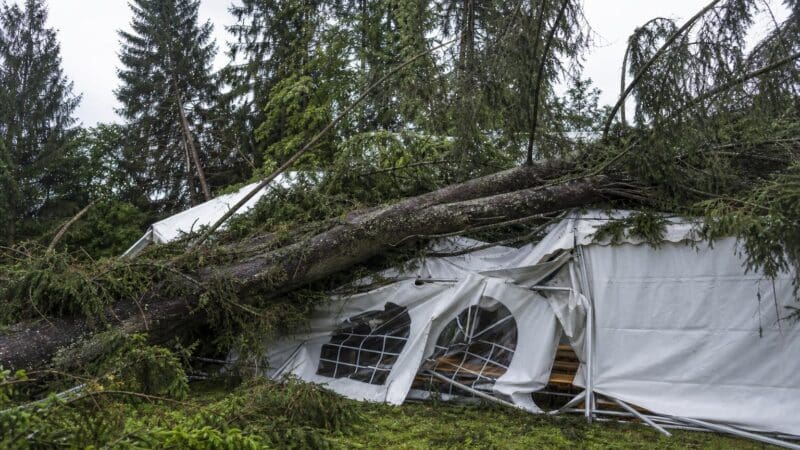 Ein umgestürzter Baum liegt auf einem beschädigten weißen Festzelt im Wald.