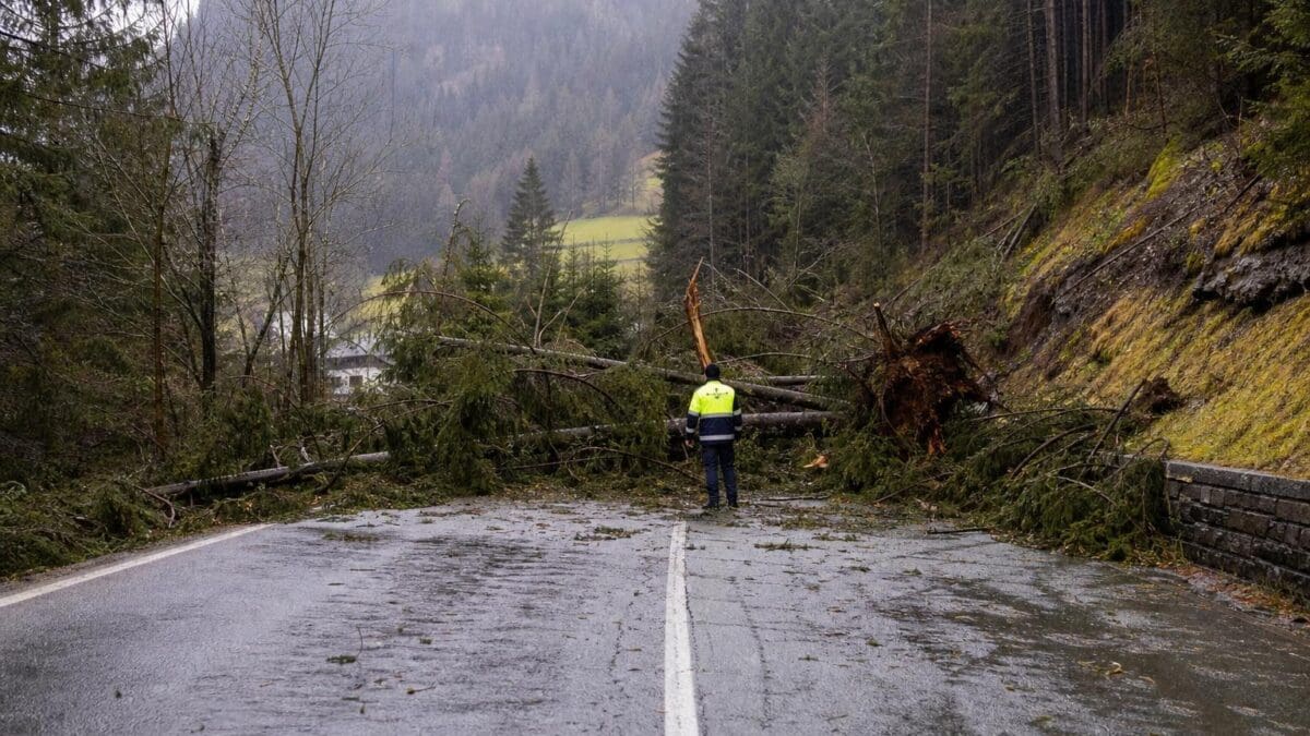 Ein Arbeiter in Warnweste steht vor umgestürzten Bäumen auf einer nassen Straße.