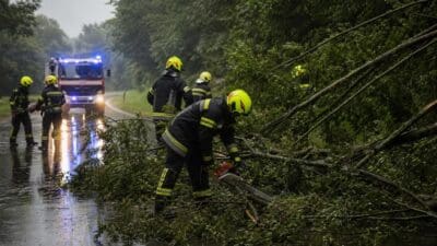 Feuerwehrleute räumen umgestürzte Bäume von einer überfluteten Straße nach einem Unwetter