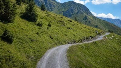 Ein geschwungener Kiesweg führt durch grüne Bergwiesen mit Bergen im Hintergrund