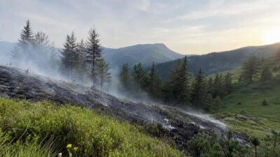 Verkohlter Hang mit aufsteigendem Rauch nach Waldbrand auf der Rautalm
