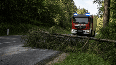 Rotes Feuerwehrfahrzeug mit Blaulicht hinter einem umgestürzten Baum auf einer Waldstraße