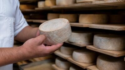 Ein Mann hält einen runden Weichkäse vor Regalen voller Käselaibe in der Käserei.