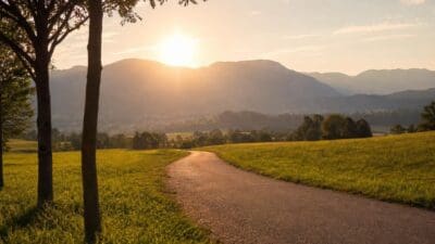 Geschwungener Weg durch grüne Wiesen mit Bergen und tiefer Sonne im Hintergrund