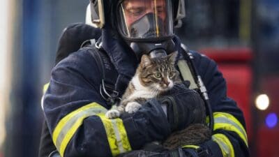 Feuerwehrmann in voller Schutzausrüstung hält gerettete Katze in den Armen