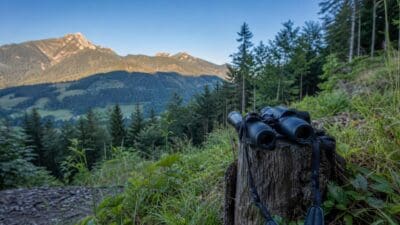 Fernglas auf einem Baumstumpf vor einer bewaldeten Berglandschaft in Tirol