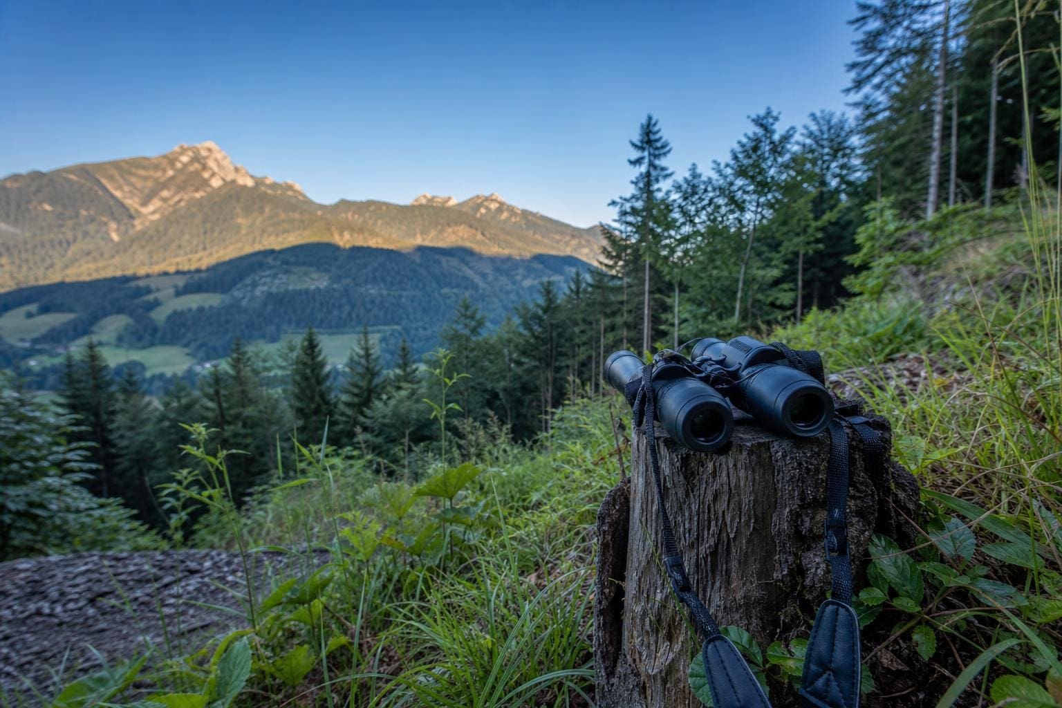 Fernglas auf einem Baumstumpf vor einer bewaldeten Berglandschaft in Tirol