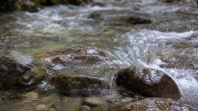 Fließendes Bachwasser umspült glatte nasse Steine im Vordergrund