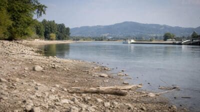 Kiesiges und trockenes Ufer der Donau bei Niedrigwasser mit Treibholz und Schiff im Hintergrund