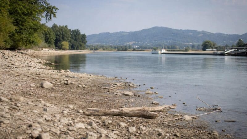 Kiesiges und trockenes Ufer der Donau bei Niedrigwasser mit Treibholz und Schiff im Hintergrund