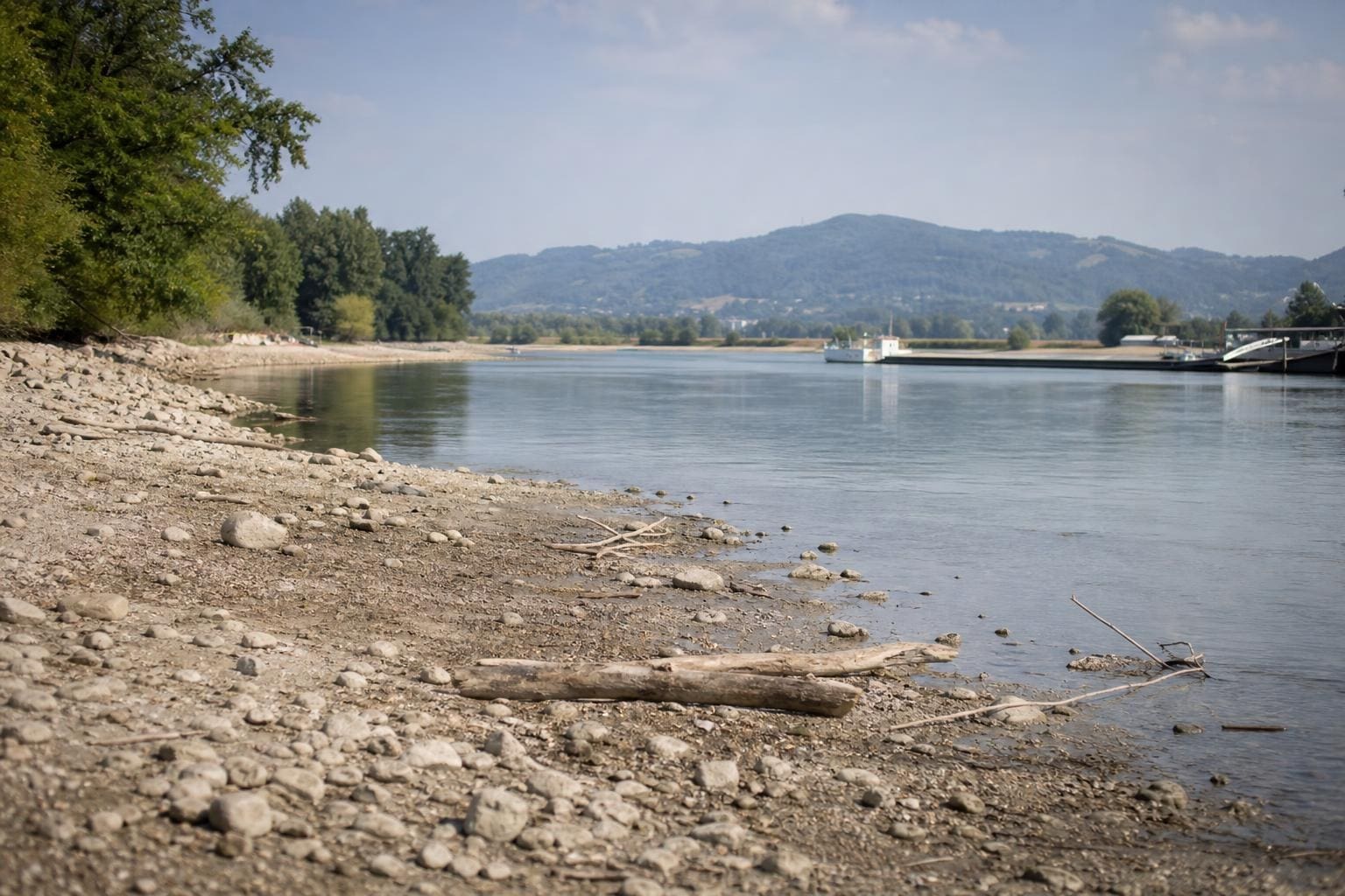 Kiesiges und trockenes Ufer der Donau bei Niedrigwasser mit Treibholz und Schiff im Hintergrund