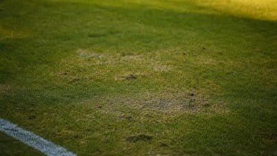 Nahaufnahme eines grünen Rasens mit abgenutzten braunen Stellen und einer weißen Linie