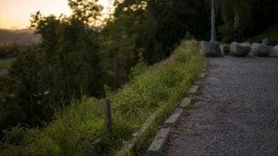 Asphaltiertes Wegstück mit Bordsteinkante, hohem Gras und Abhang zu Bäumen bei Abenddämmerung