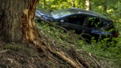 Beschädigter Baumstamm im Vordergrund, dahinter ein dunkler Pkw im Wald