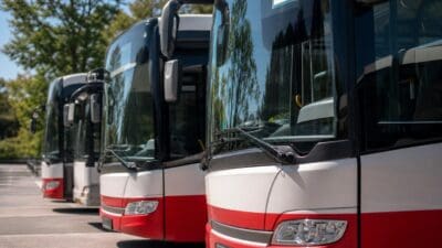 Mehrere weiß-rote Busse parken nebeneinander auf einem sonnigen Platz.