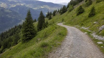 Kurviger Schotterweg an steilem grünem Hang mit Nadelbäumen und Blick ins Tal