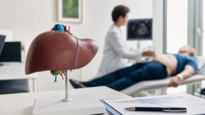 Anatomisches Modell einer Leber auf einem Schreibtisch in einer Arztpraxis mit Patient und Ärztin im Hintergrund