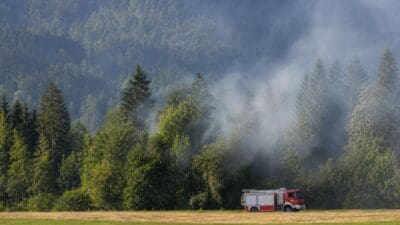 Rotes Feuerwehrauto steht auf einer Wiese vor einem mit Rauch verhangenen Wald in den Bergen.