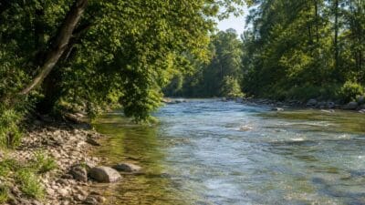 Fluss mit klarem Wasser zwischen steinigen Ufern und grünen Bäumen am Ufer