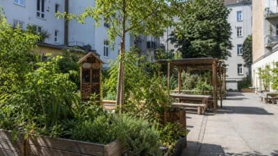 Begrünter Innenhof mit Hochbeeten, Insektenhotel, Holzpergola und Sitzgelegenheiten vor Wiener Wohnhäusern