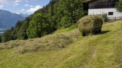 18-Jähriger sticht sich in Absam mit Heugabel durch die Hand