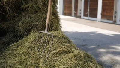 18-Jähriger sticht sich in Absam mit Heugabel durch die Hand