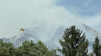 Gelbes Löschflugzeug fliegt vor rauchverhangenen Bergen mit grünen Nadelbäumen im Vordergrund