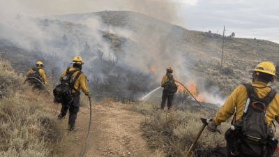 Mehrere Feuerwehrleute in gelber Schutzausrüstung löschen einen Waldbrand im hügeligen Gelände.