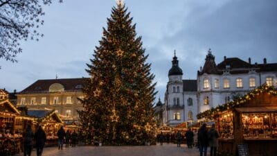 Großer Weihnachtsbaum mit Lichtern und Sternen auf einem abendlichen Weihnachtsmarkt vor historischen Gebäuden