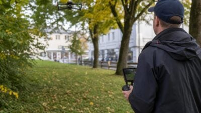 Asiatische Hornisse in Tirol: Suche nach Nest läuft