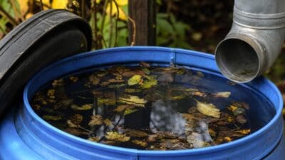 Offenes blaues Regenfass mit Wasser und herbstlichen Blättern unter einem Metallrohr