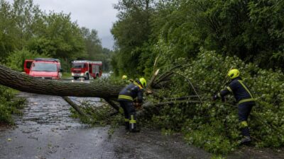 Bäume auf Fahrbahn bei Unwettereinsatz in Glantschach