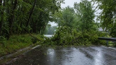 Bäume auf Fahrbahn nach Unwetter in Glantschach-Gradenegg