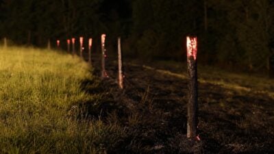 Baum reißt Hochspannungsleitung ab und löst Zaunbrand in Wölfnitz aus
