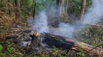 Beginnender Waldbrand in Grai rasch gelöscht