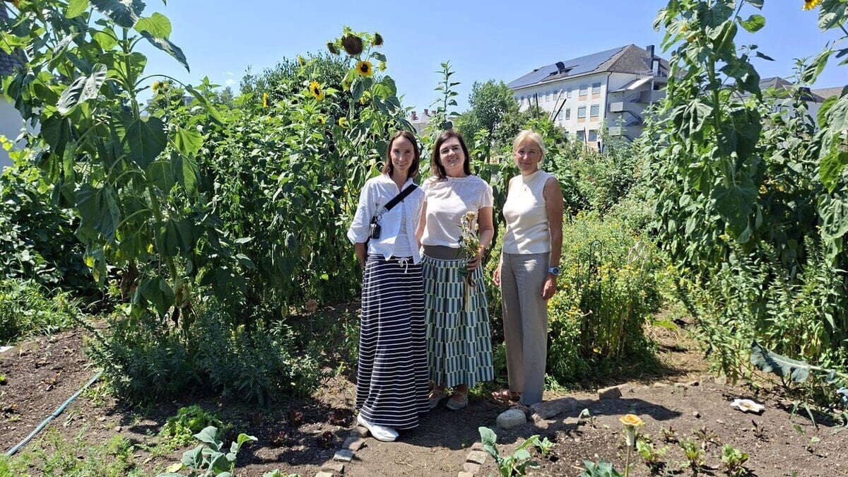 Drei Frauen stehen in einem sonnigen Gemüsegarten mit Sonnenblumen und anderen Pflanzen.