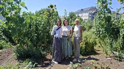 Drei Frauen stehen in einem sonnigen Gemüsegarten mit Sonnenblumen und anderen Pflanzen.