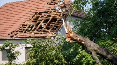Stark beschädigtes Ziegeldach eines Hauses mit umgestürztem Baumast im Vordergrund