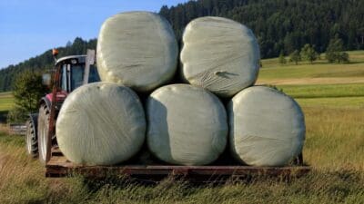 Traktor zieht Anhänger mit gestapelten großen weißen Rundballen über ein Feld
