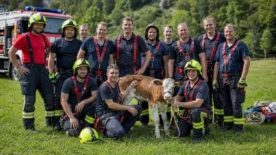 Kalb aus Felswand bei Kainisch gerettet