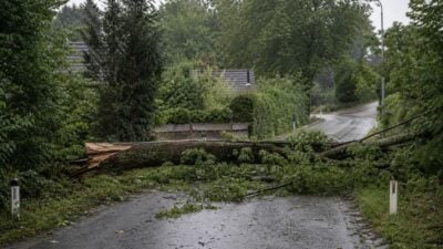 Gewitter führt zu knapp 40 Einsatzstellen in Südoststeiermark