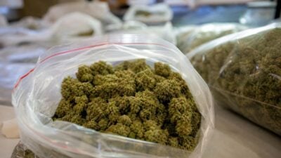 Geladene Pistole und knapp 13 Kilogramm Marihuana in Wien sichergestellt