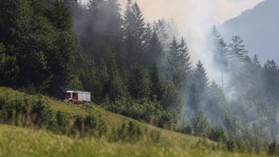 Rotes Feuerwehrfahrzeug parkt auf einer grünen Wiese vor einem bewaldeten Hang mit aufsteigendem Rauch