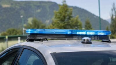 Gleitschirmpilot in Niederau aus Baumkrone befreit