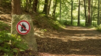 Rotes Verbotsschild mit durchgestrichenem Lagerfeuer auf einem Stein neben einem Waldweg