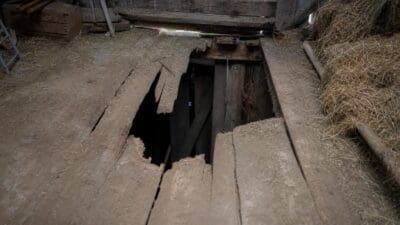 Eingebrochener Holzboden in einem Stall mit großem Loch und verstreutem Heu.