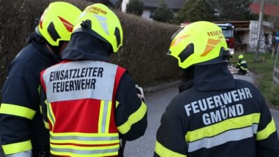 Baum von Fahrbahn in Unterkreuschlach entfernt