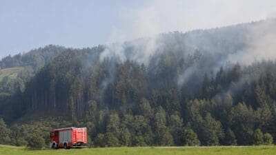 Rotes Feuerwehrfahrzeug parkt auf einer grünen Wiese vor einem rauchenden Wald.