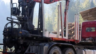 Seitenansicht eines Forst-Lkw mit rotem Kran und schwarzen Hydraulikaggregaten vor einem Wald